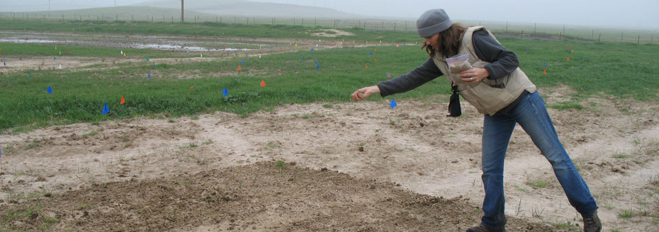 Habitat Enhancement Services