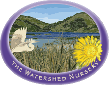 The Watershed Nursery – Native Plants and Habitat Enhancement Services