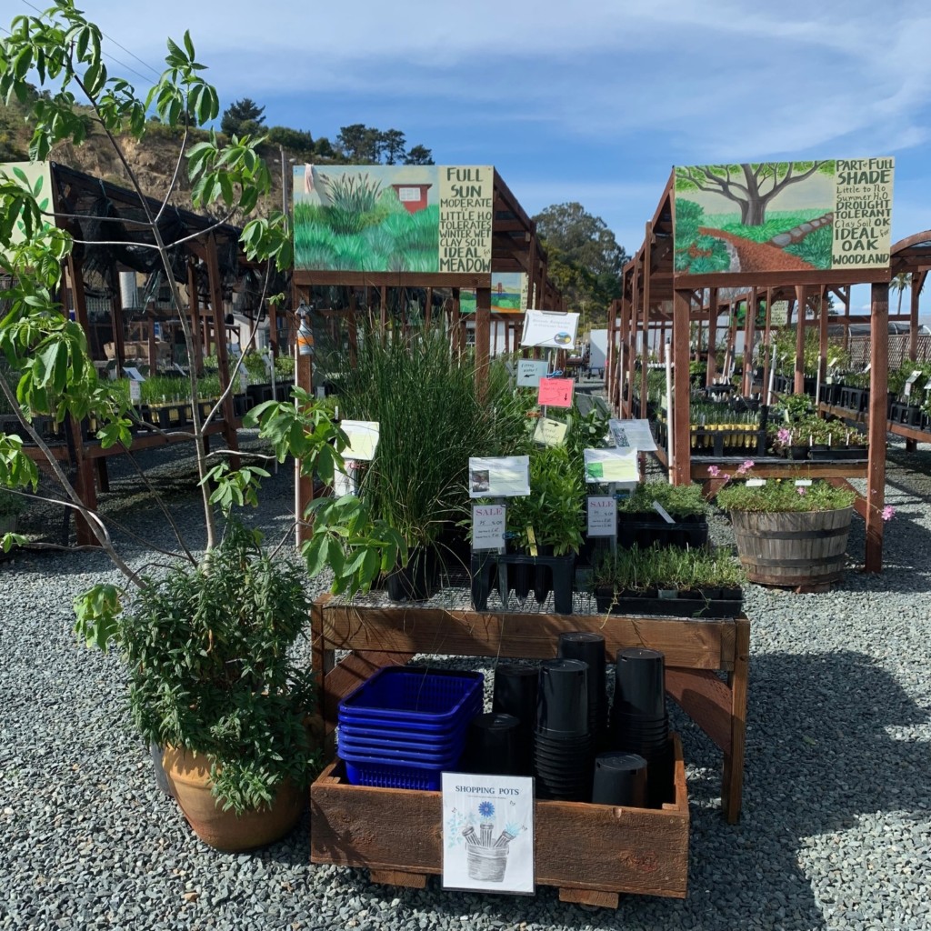 Photo of a stand at the retail nursery