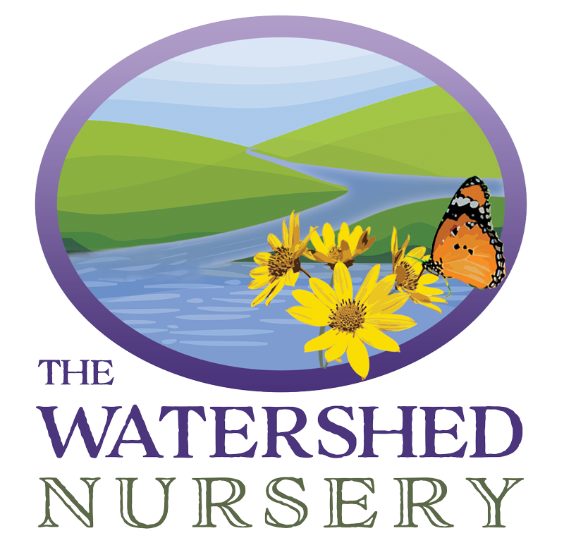 The Watershed Nursery